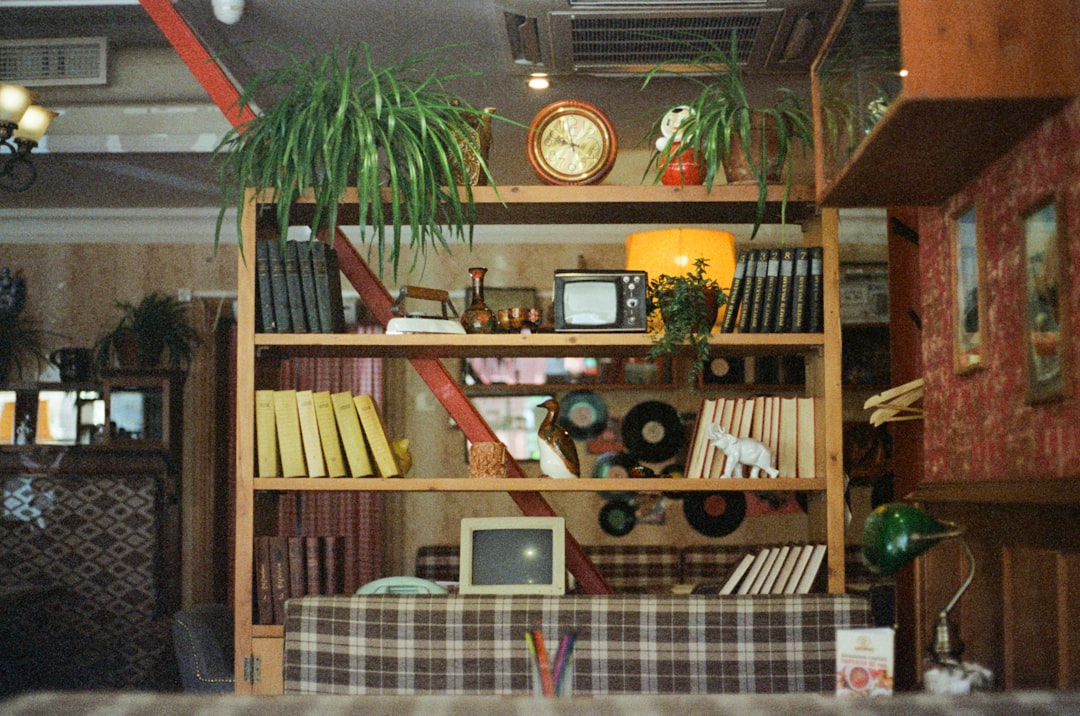 Eco-Friendly Home Decor: Sustainable Style for a Greener Future